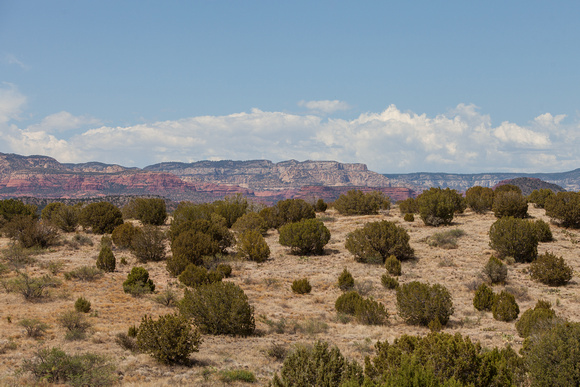 Sedona AZ 7-8-18-14