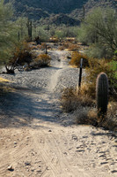 San tan 11-4-20-8