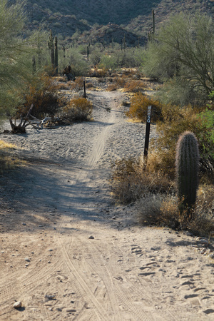 San tan 11-4-20-8