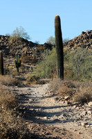 San tan 11-4-20-14