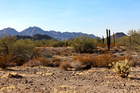 San tan 11-4-20-4