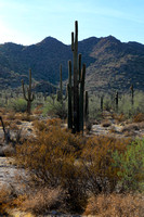 San tan 11-4-20-6