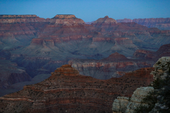 Canyon sunrise and horses 11-6-20-20