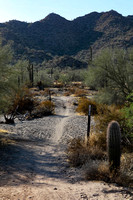 San tan 11-4-20-9