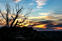 Canyon sunrise and horses 11-6-20-12