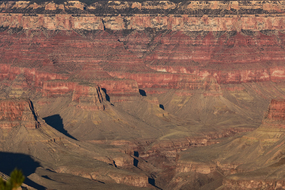 Canyon sunrise and horses 11-6-20-4